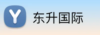 东升国际 logo